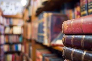 palia vivlia old books